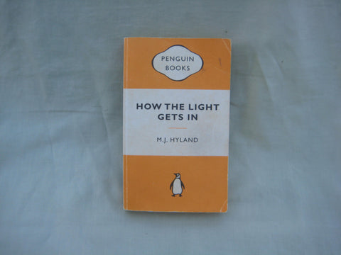 How the light gets in, by M.J. Hyland