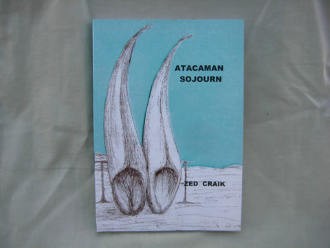 Atacaman Sojourn, by Zed Craik