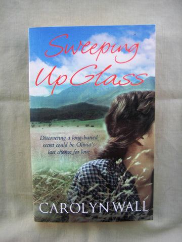 Sweeping up Glass, by Carolyn Wall